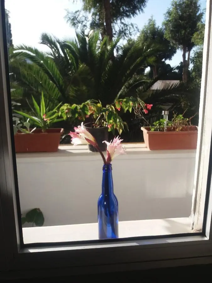 Near Aiport Apartment La Laguna  Homestay La Laguna (Tenerife)